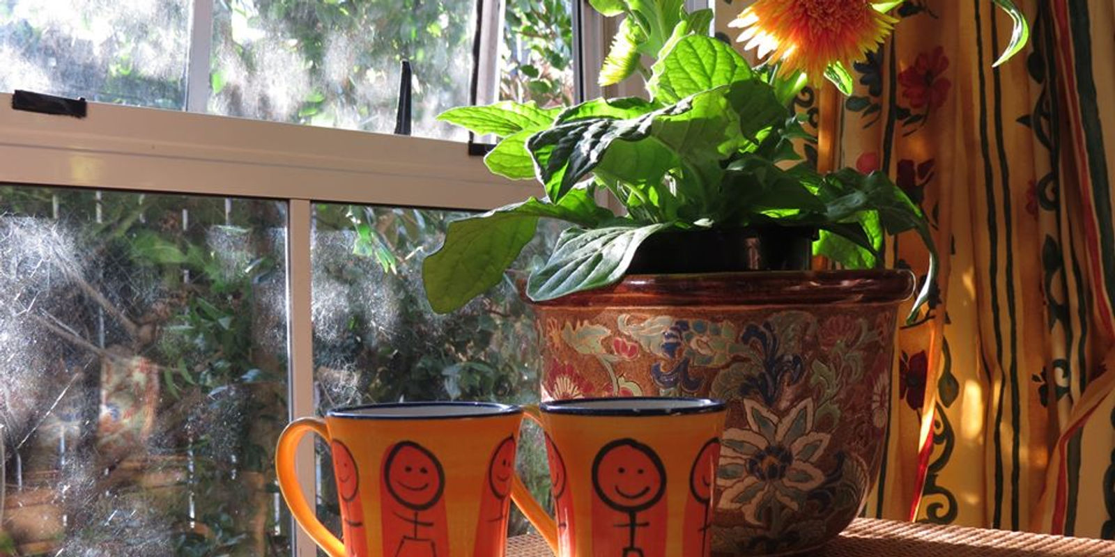 Counselling room with sunlit garden